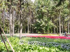 -黑龙江省森林植物园