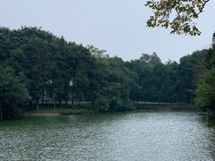 -象山森林公园
