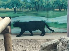 -昆明动物园