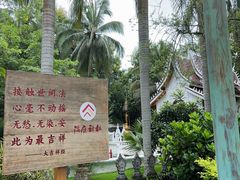 -西双版纳傣族园
