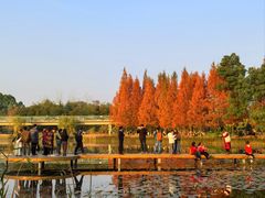 -白鹭湾湿地公园