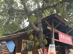 -西双版纳傣族园