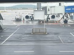 -郑州新郑国际机场-T2航站楼