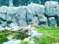 -北京野生动物园