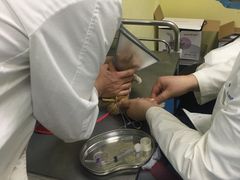 -佳怡动物医院·平价24小时·猫专科骨外科