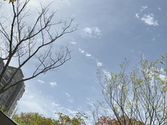 -新江湾城公园
