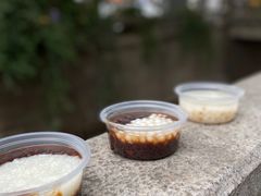 -潘玉麟糖粥
