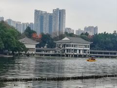 -荔湾湖公园