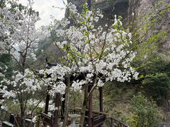 -雁荡山风景名胜区