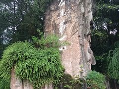 -峨眉山报国寺