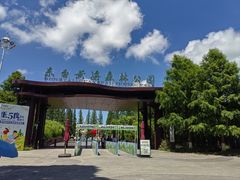 -黄海国家森林公园