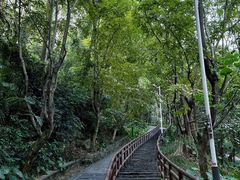 -水濂山森林公园