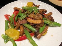-滇野云南野生菌餐厅(陕西南路店)