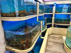 -阳光海鲜城(太仓万达店)