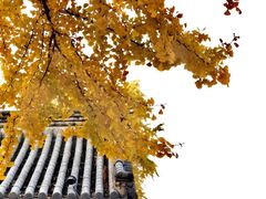 -常熟方塔园