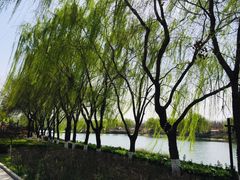 -西安汉城湖景区