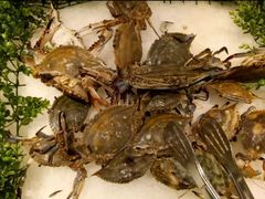 -好食代自助烤涮鲜切牛肉火锅