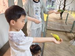 -上海大自然野生昆虫馆(东方明珠·爬宠昆虫探索中心)