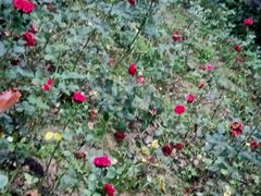 -菩之悦足道会馆(八佰伴店)