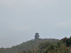 -杭州半山国家森林公园