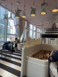 -奈尔宝·儿童乐园·亲子餐厅(前滩店)
