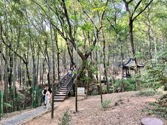 -虞山风景区