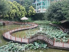 -珠海圆明新园