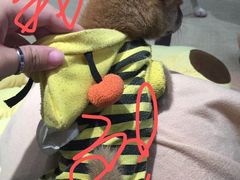 -逗柴咖啡屋·狗咖猫咖宠物桌游