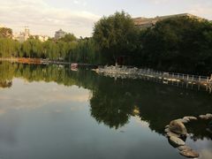 -莲湖公园