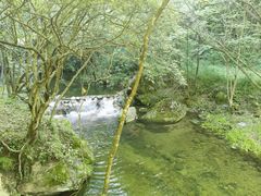 -牛背梁国家森林公园