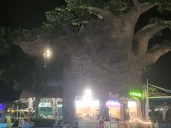 -苏州湾梦幻水世界