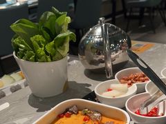 -百年果林椰子鸡(益田假日里店)