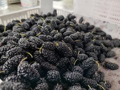 -桃源山庄·水蜜桃采摘·柴火鸡·烧烤团建(龙泉山店)