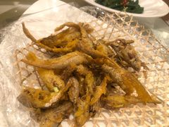 -白金汉爵大酒店·中餐厅(相城店)