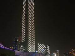 -MR鹅外