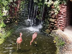 -呀路古热带植物园