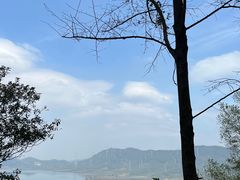 -光明刘冰乳鸽店(光明法政北路店)