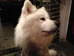 大堂-西塘明榉坊客栈