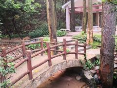 -火炉山森林公园