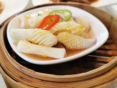 黄椒蒸鲜鱿-春满园·早茶·粤菜·宴会(前海店)