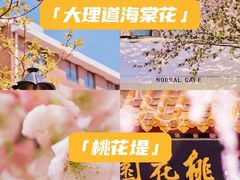 -睦南公园