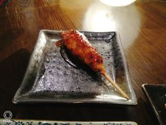 鸡肉丸子-串鑫