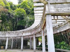 -石峰公园