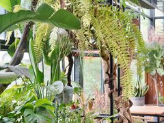 -北马山庄植趣咖啡
