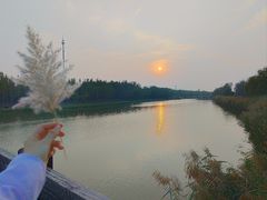 -西青郊野公园