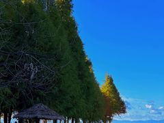 -捞渔河湿地公园