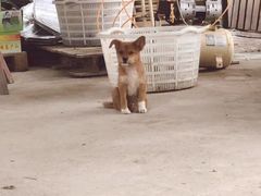 -马陆小张葡萄园农家乐