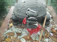-石羊农庄