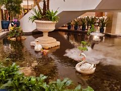 -广州白天鹅宾馆