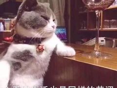 -眉州东坡(中关村店)